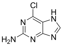 2-氨基-6-氯嘌呤，98%