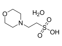 2-(N-嗎啉）乙磺酸一水合物，99%