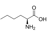 L-正白氨酸，98%（HPLC)