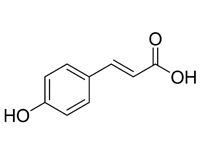 對羥基肉桂酸，98%（HPLC）