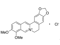 鹽酸小檗堿水合物