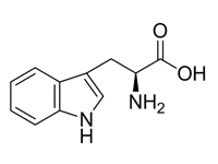 L-色氨酸，99%