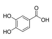 3，4-二羥基苯甲酸，CP，98%